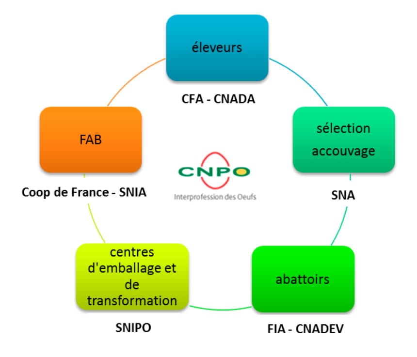 Schéma d'organisation du CNPO.