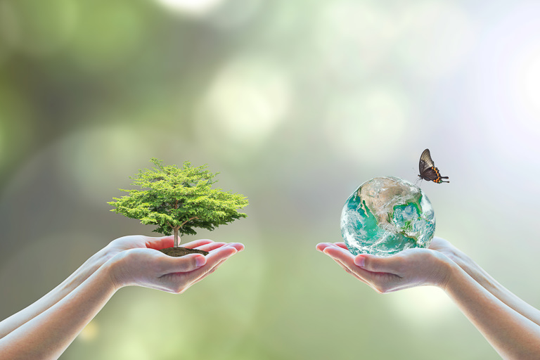 A gauche de l'image des mains tiennent un petit arbuste, et à droite des mains tiennent une petite planète Terre sur laquelle s'est posé un papillon.